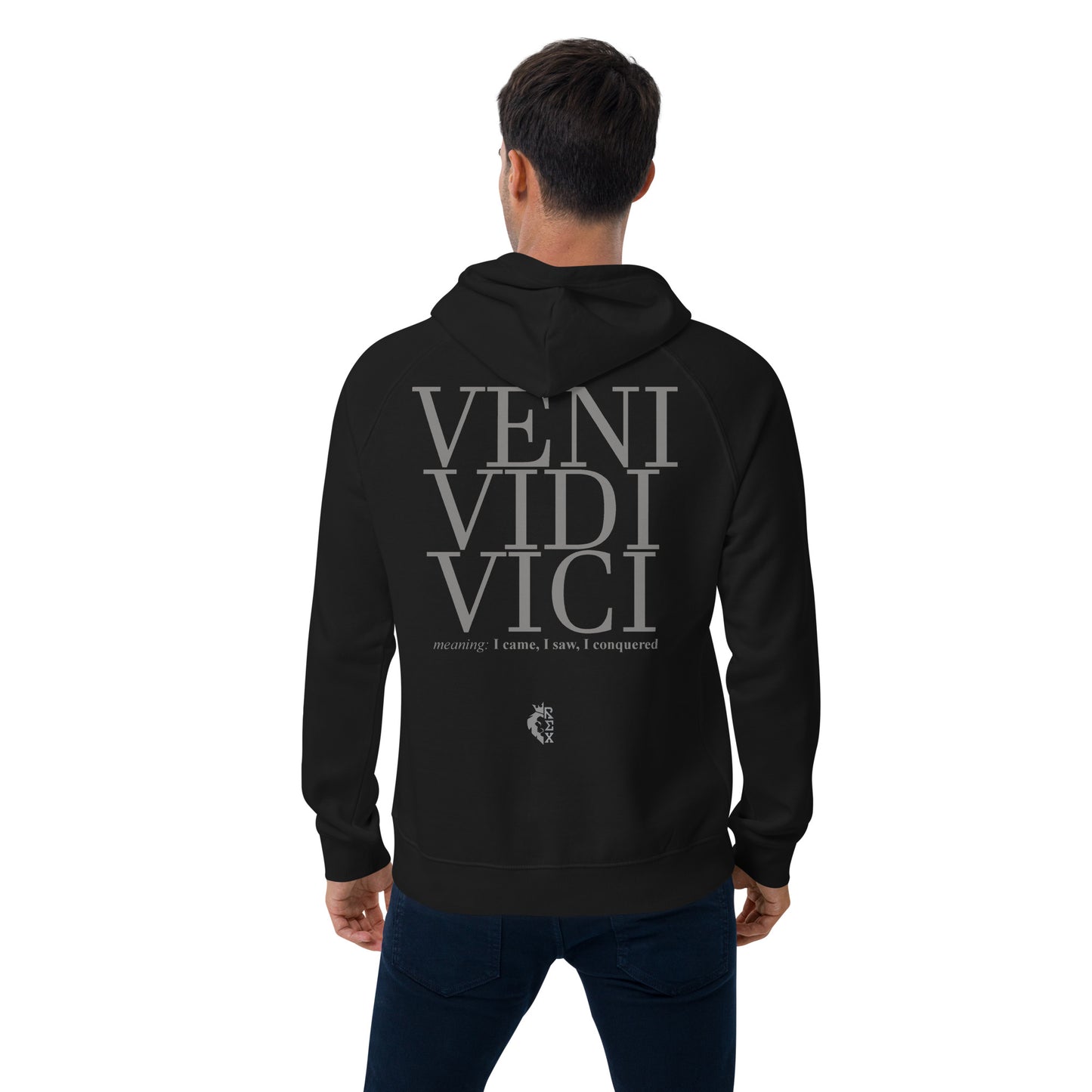 Veni Vidi Vici hoodie