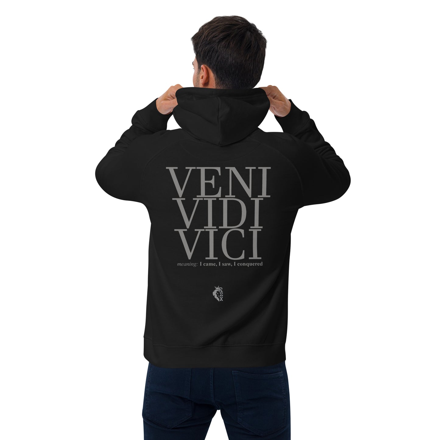 Veni Vidi Vici hoodie